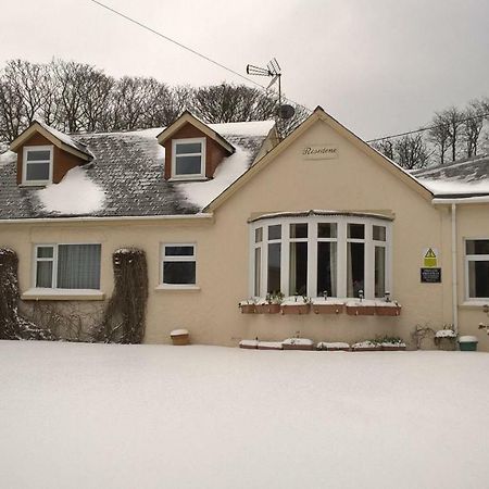 Rosedene Guest House Pembroke Buitenkant foto
